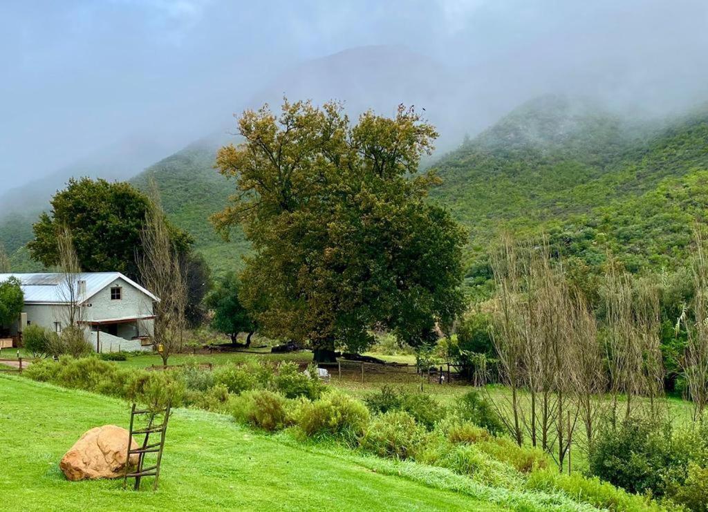 Pat Busch Mountain Reserve Robertson Exterior foto