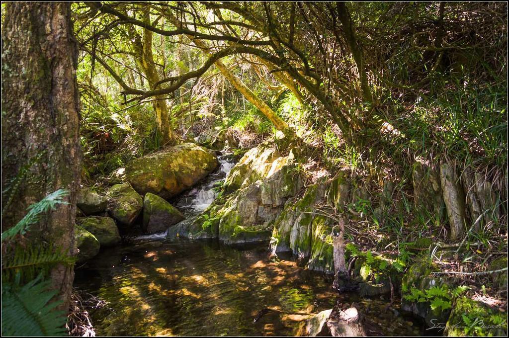 Pat Busch Mountain Reserve Robertson Exterior foto