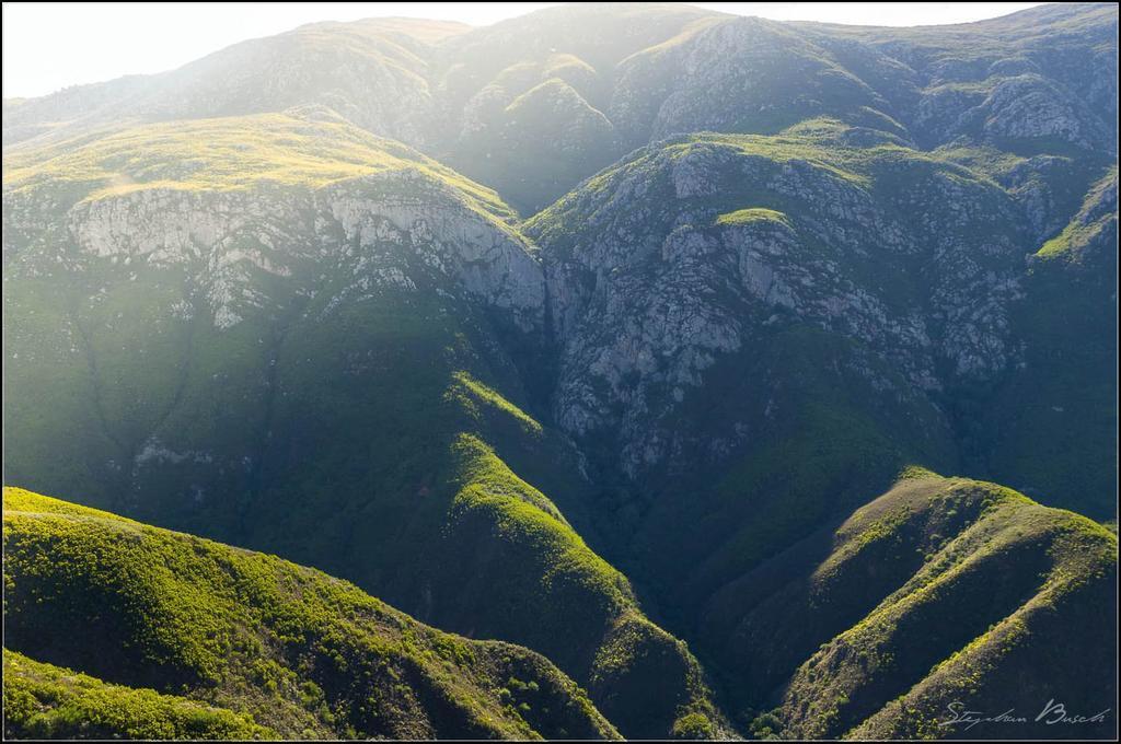 Pat Busch Mountain Reserve Robertson Exterior foto